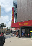 Madame Tussauds Hollywood