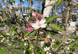 2nd Street Park NE