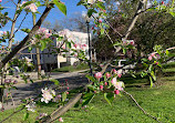 2nd Street Park NE