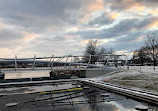 Yards Park Dog Park