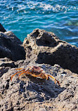 Piscinas Naturales Los Abrigos