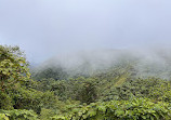 Parqueo Reserva Monteverde