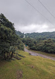 Treetopia Park