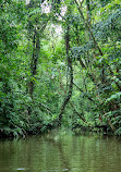 Tortuguero Nature Native Guides