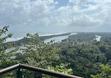 Tortuguero Nature Native Guides