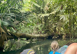 Tortuguero Nature Native Guides