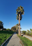 Sabanci Central Mosque