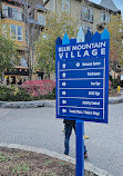 Blue Mountain Village