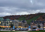 Blue Mountain Village