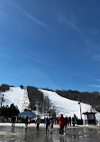 Blue Mountain Ski Resort