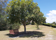 Burleigh Lake Park