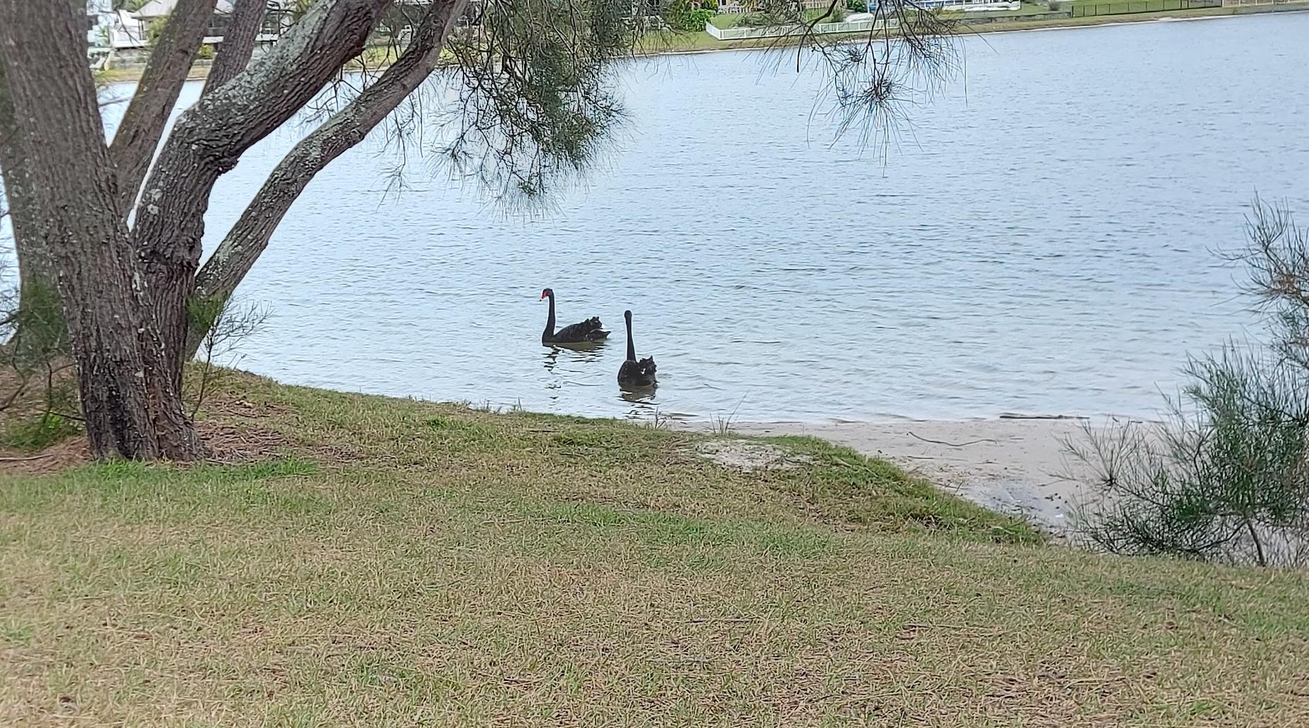 Lake View Park