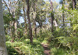 Burleigh Knoll Conservation Park