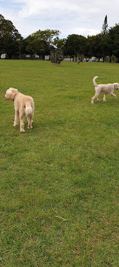 Parque de conservación Burleigh Knoll