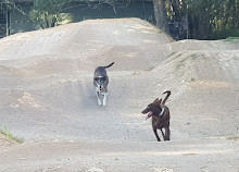 Parque de conservación Burleigh Knoll