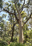 Burleigh Knoll Conservation Park