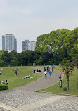 Rinko Park