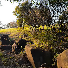 Honmoku Sancho Park