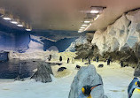 Penguin Encounter