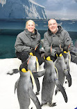 Penguin Encounter