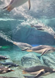 Sea World