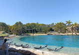 Sea World