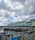 Pier 54