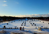 Drottningholm Palace Park