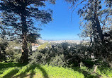 Buena Vista Park