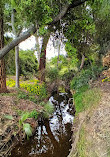 Vista Conservancy Nature Trail North End