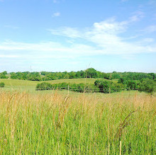 Schoolhouse Ridge North