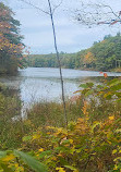 Benedict Pond Loop