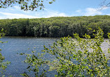 Benedict Pond Loop