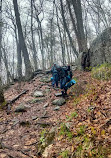 Benedict Pond Loop