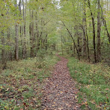 Old Sugarlands Trail Trailhead