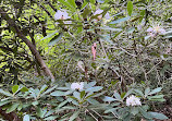 Old Sugarlands Trail Trailhead