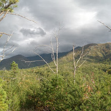 Old Sugarlands Trail Trailhead