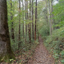 Old Sugarlands Trail Trailhead