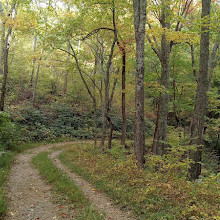 Old Sugarlands Trail Trailhead