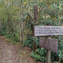 Old Sugarlands Trail Trailhead