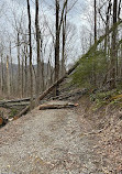 Old Sugarlands Trail Trailhead