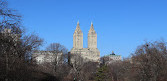 Central Park Horse CarriageTours