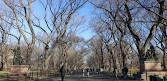 Central Park Horse CarriageTours