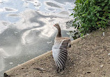 West Stow Country Park