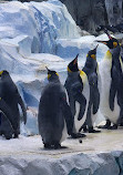 Polk Penguin Conservation Center