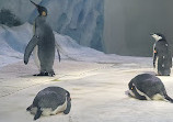 Polk Penguin Conservation Center