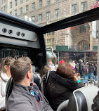 USA Guided Tours NY