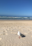 Surfers Paradise Sign