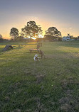 Scenic Dog Park