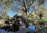 Peacock enclosure